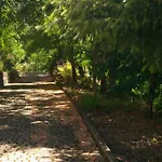 Mamma Elena
